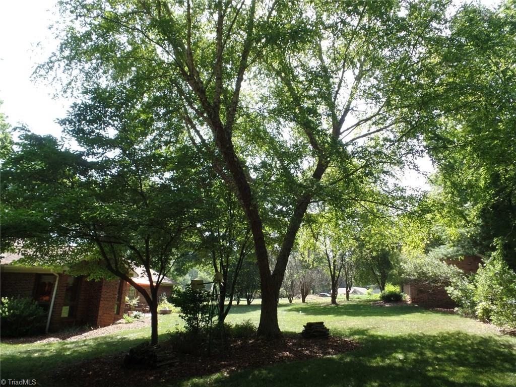 5006 Rambling Road Greensboro, NC 27409 - Photo 23 of 26