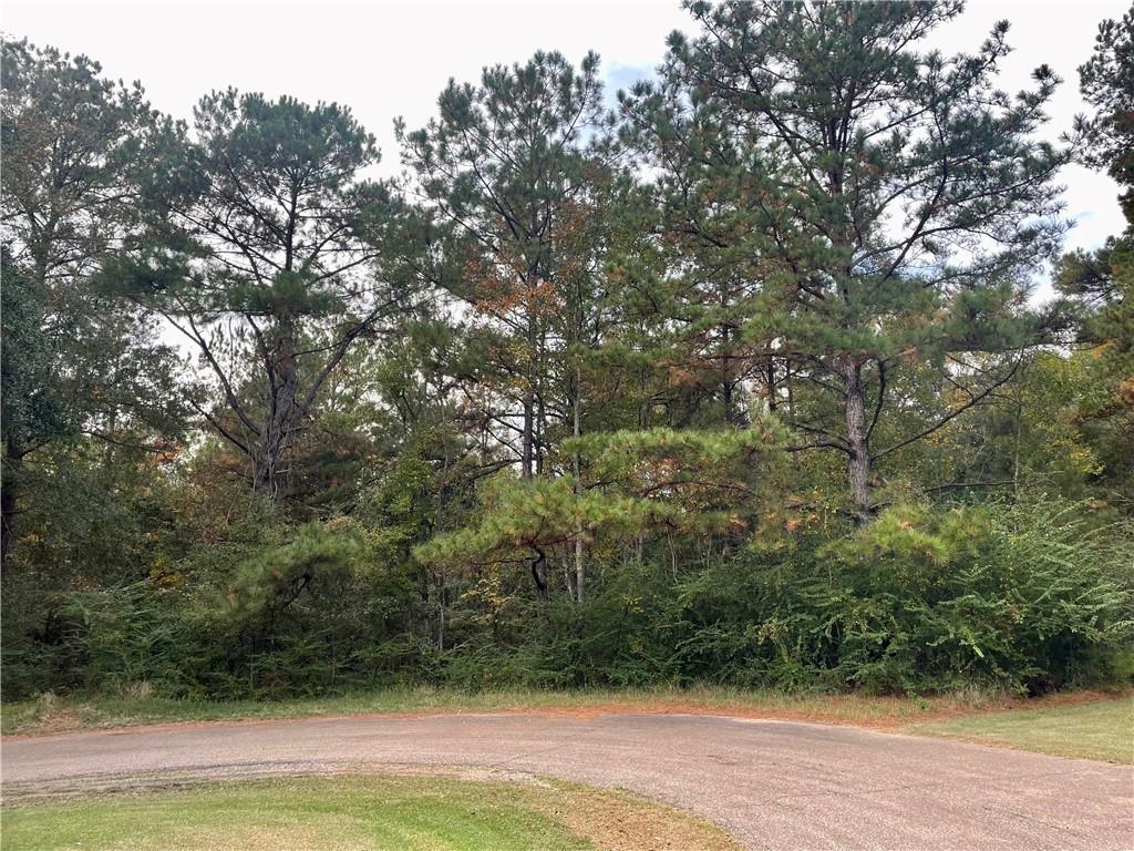 0 Lot 5 Emerald Valley Road Covington, LA 70435 - Photo 2 of 5 Gallery Image 2