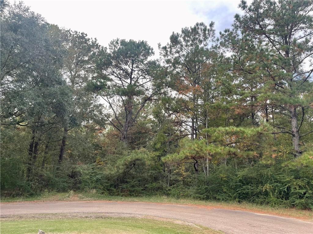0 Lot 5 Emerald Valley Road Covington, LA 70435 - Photo 3 of 5 Gallery Image 3