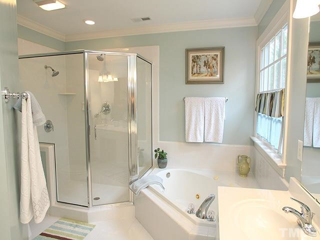236 Release Circle Raleigh, NC 27615 - Photo 14 of 25 Master Bath/Spa