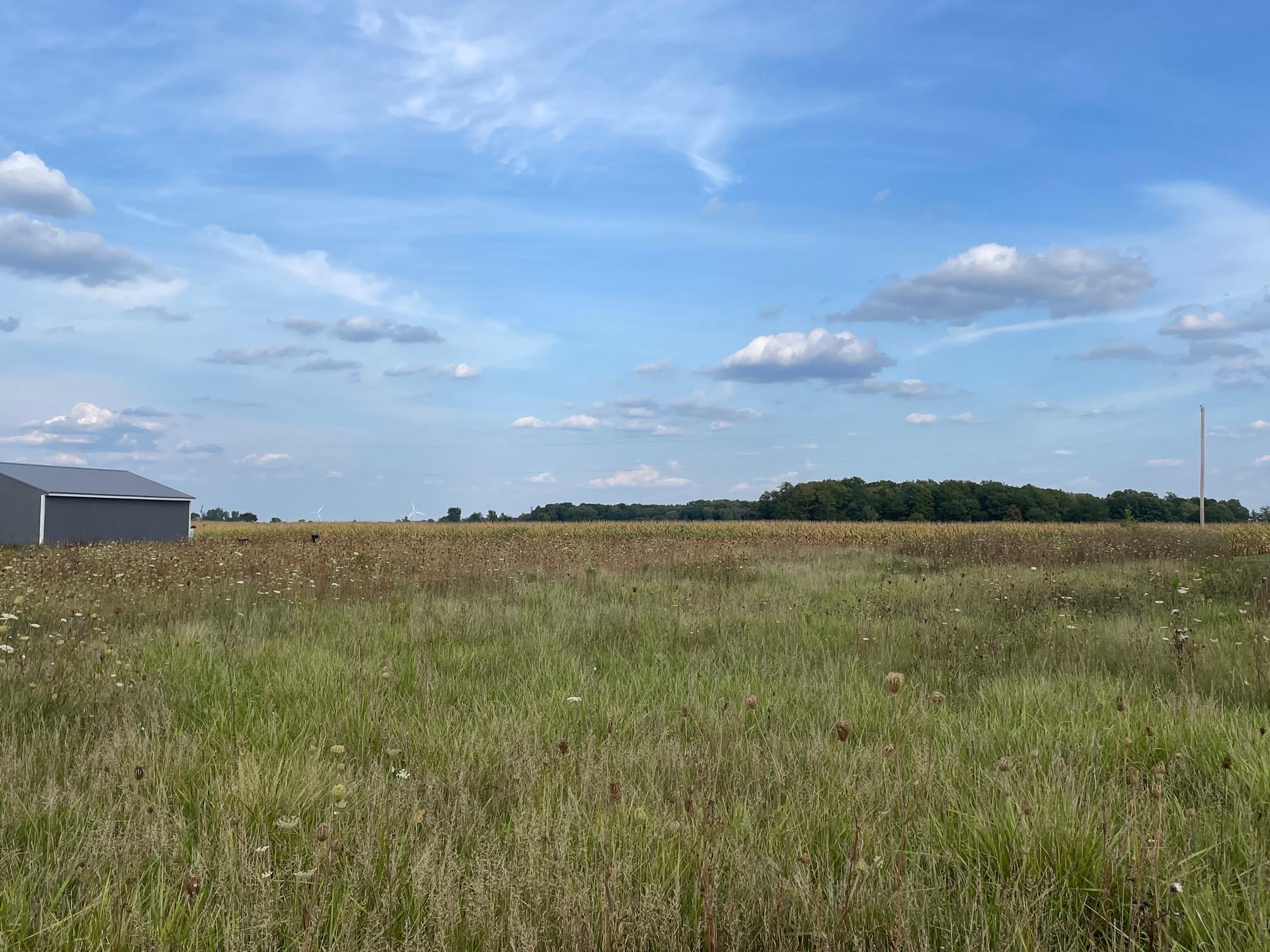 Tbd South Summerton Road Shepherd, MI 48883 - Photo 6 of 6