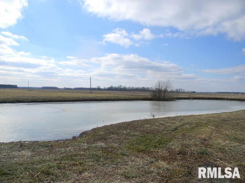 484 Crabapple Road Du Quoin, IL 62832 - Photo 9 of 11 Gallery Image 9