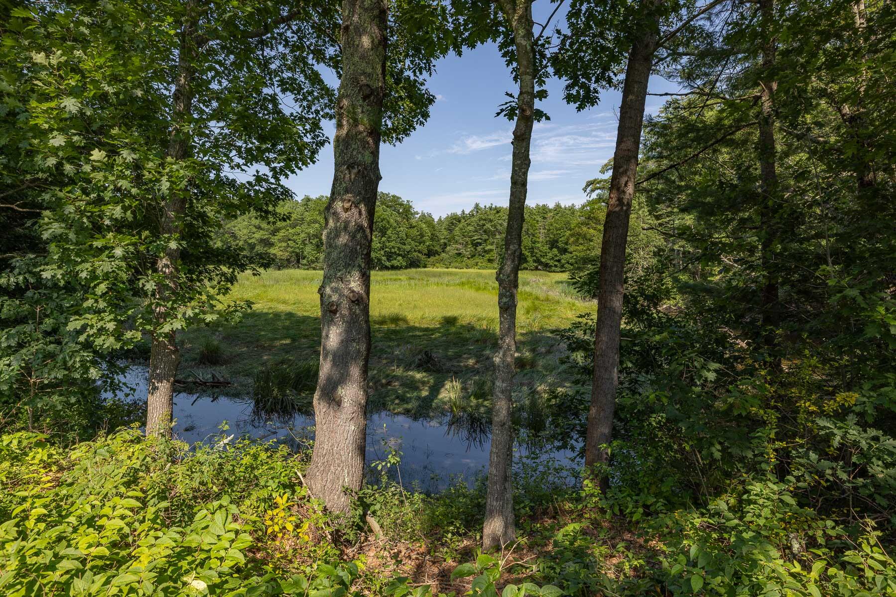 40 Birch Hill Road York, ME 03909 - Photo 49 of 71 40 Birch Hill Rd