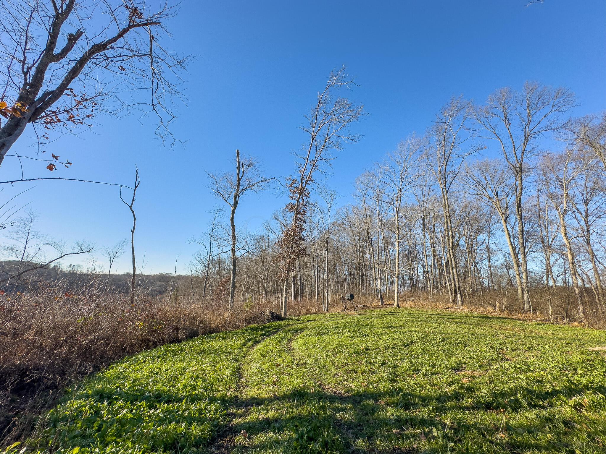 0 Clubhouse Road Jackson, OH 45640 - Photo 26 of 56 Clubhouse Rd -16