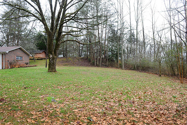 569 Summertown Road Jasper, TN 37347 - Photo 32 of 33 DSC_8145