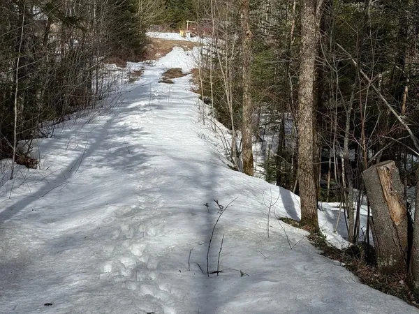 $42,000 | 1656 Williamstown Road, Washington, VT 05679