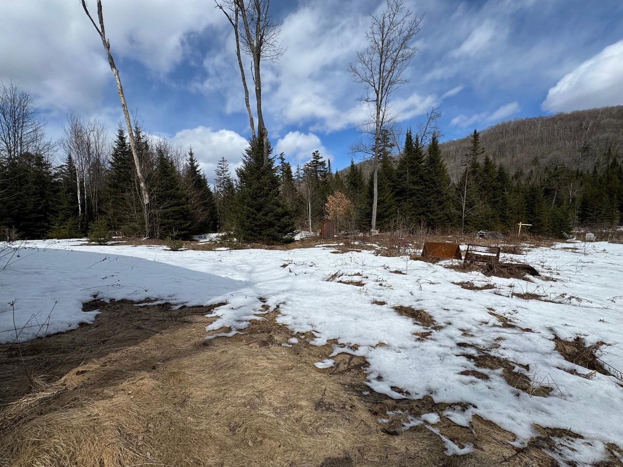 1656 Williamstown Road Washington, VT 05679 - Photo 8 of 25