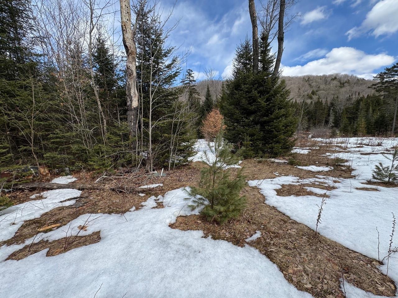 1656 Williamstown Road Washington, VT 05679 - Photo 9 of 25