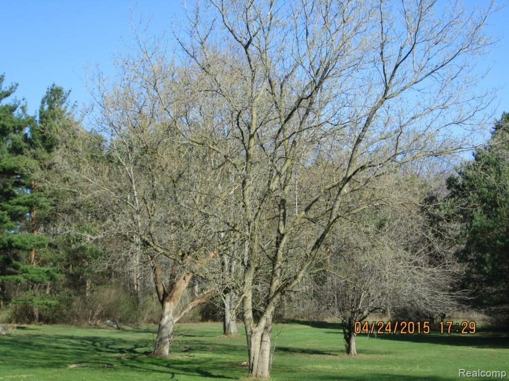 IMG_1494.jpg