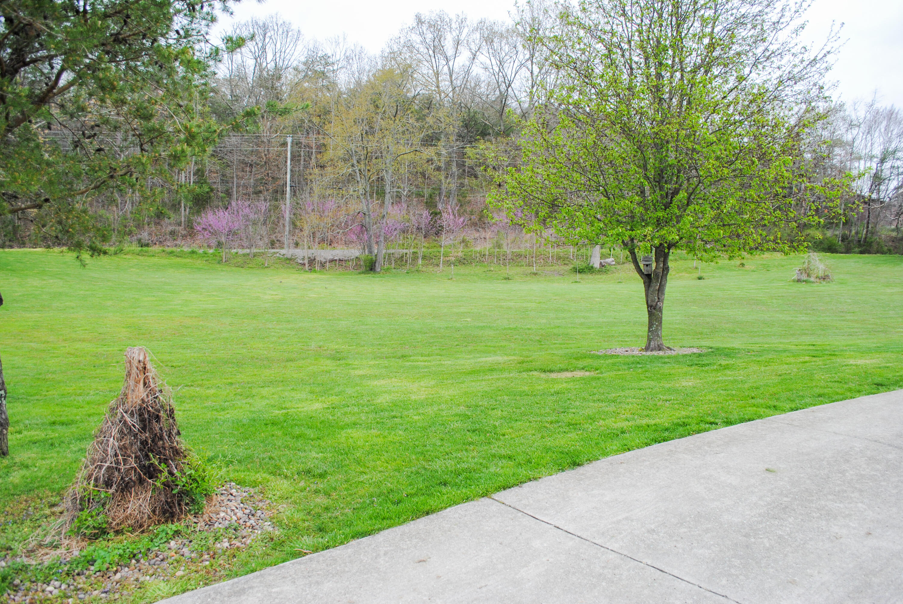 1152 Red Lick Road Berea, KY 40403 - Photo 35 of 71 DSC_0003