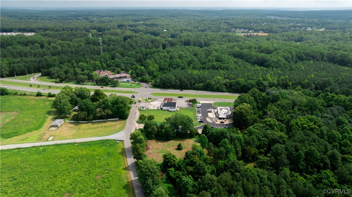 9131 Barhamsville Road Toano, VA 23168 - Photo 20 of 39 an aerial view of green landscape with trees houses and mountain view