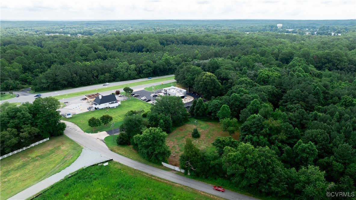 9131 Barhamsville Road Toano, VA 23168 - Photo 36 of 39 a view of a lush green forest with lots of trees