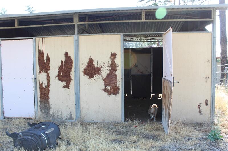 30 Butterfly Peak Road Mountain Center, CA 92561 - Photo 16 of 21 a view of a storage & utility room
