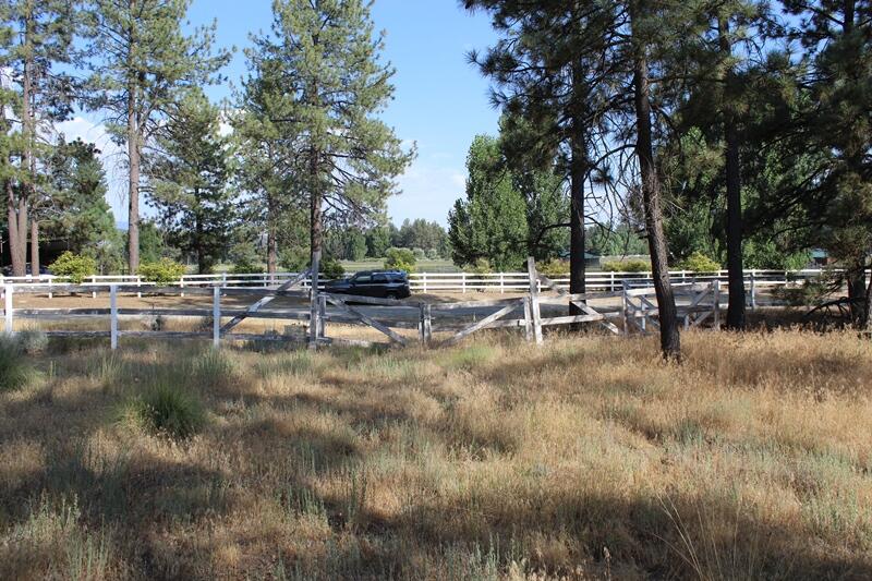 30 Butterfly Peak Road Mountain Center, CA 92561 - Photo 21 of 21 a view of yard