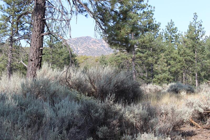 30 Butterfly Peak Road Mountain Center, CA 92561 - Photo 8 of 21 a view of a lake