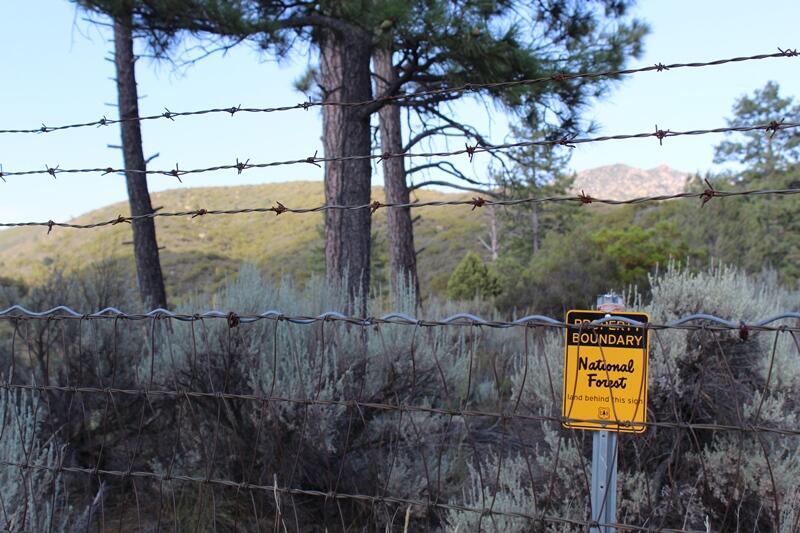 30 Butterfly Peak Road Mountain Center, CA 92561 - Photo 10 of 21 a view of a back yard of the house and trees all around