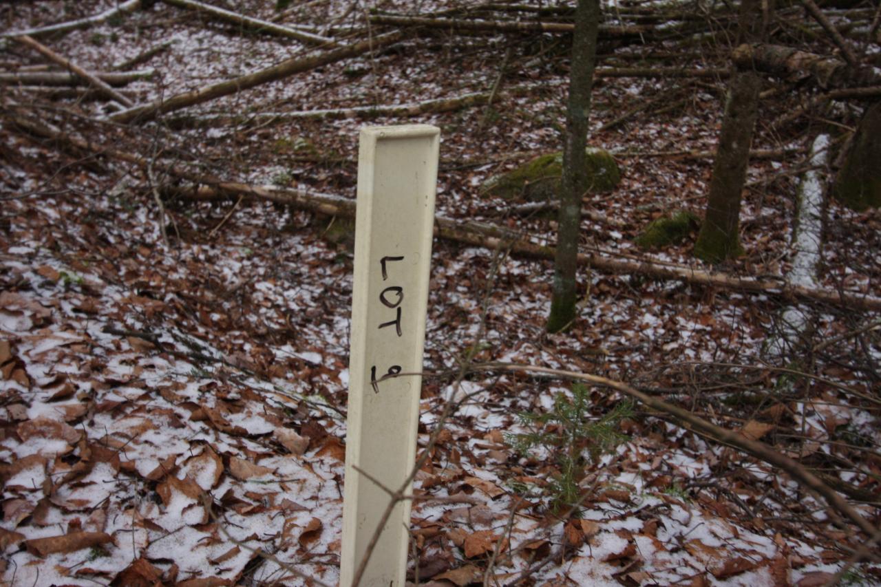 Lot 9 Murmuring Pnes Trail Rhinelander, WI 54501 - Photo 14 of 17 Gallery Image 14