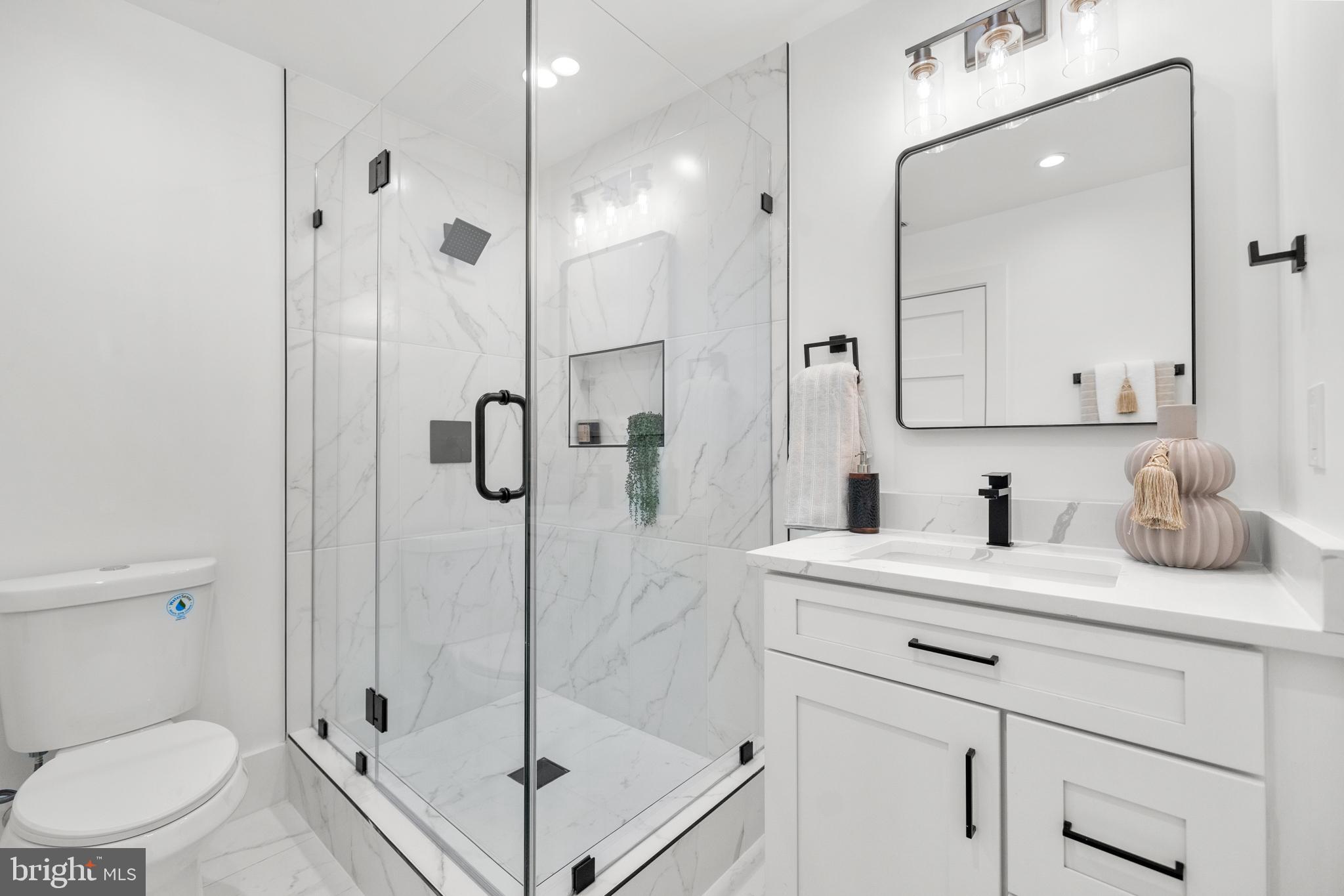 113 18th Street Southeast, Unit 2 Washington, DC 20003 - Photo 22 of 39 a bathroom with a granite countertop sink a toilet and shower