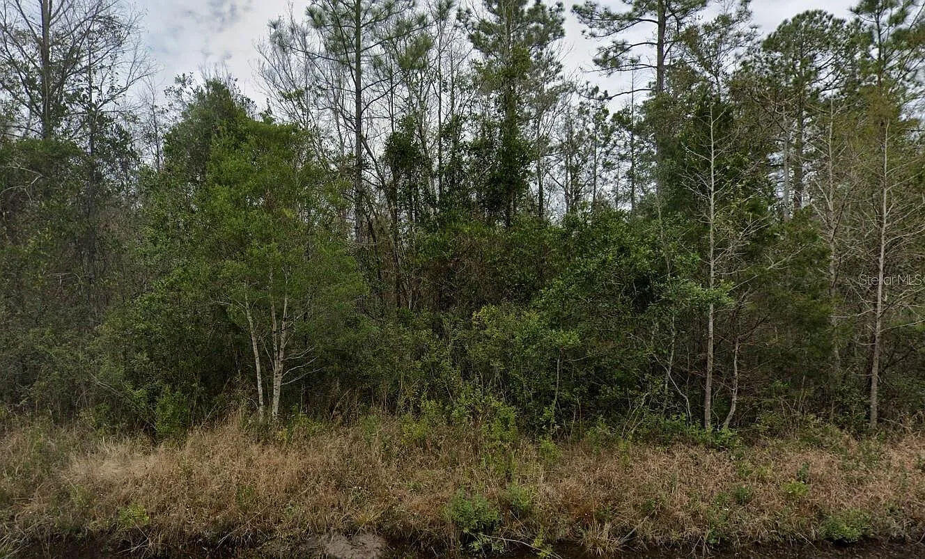 4220 Isaac Street Hastings, FL 32145 - Photo 4 of 5 Image 4