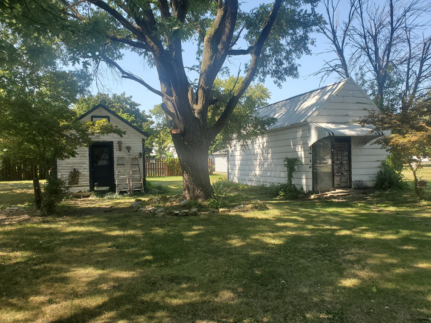 322 North Peoria Street Gilman, IL 60938 - Photo 3 of 15 a big yard with large trees