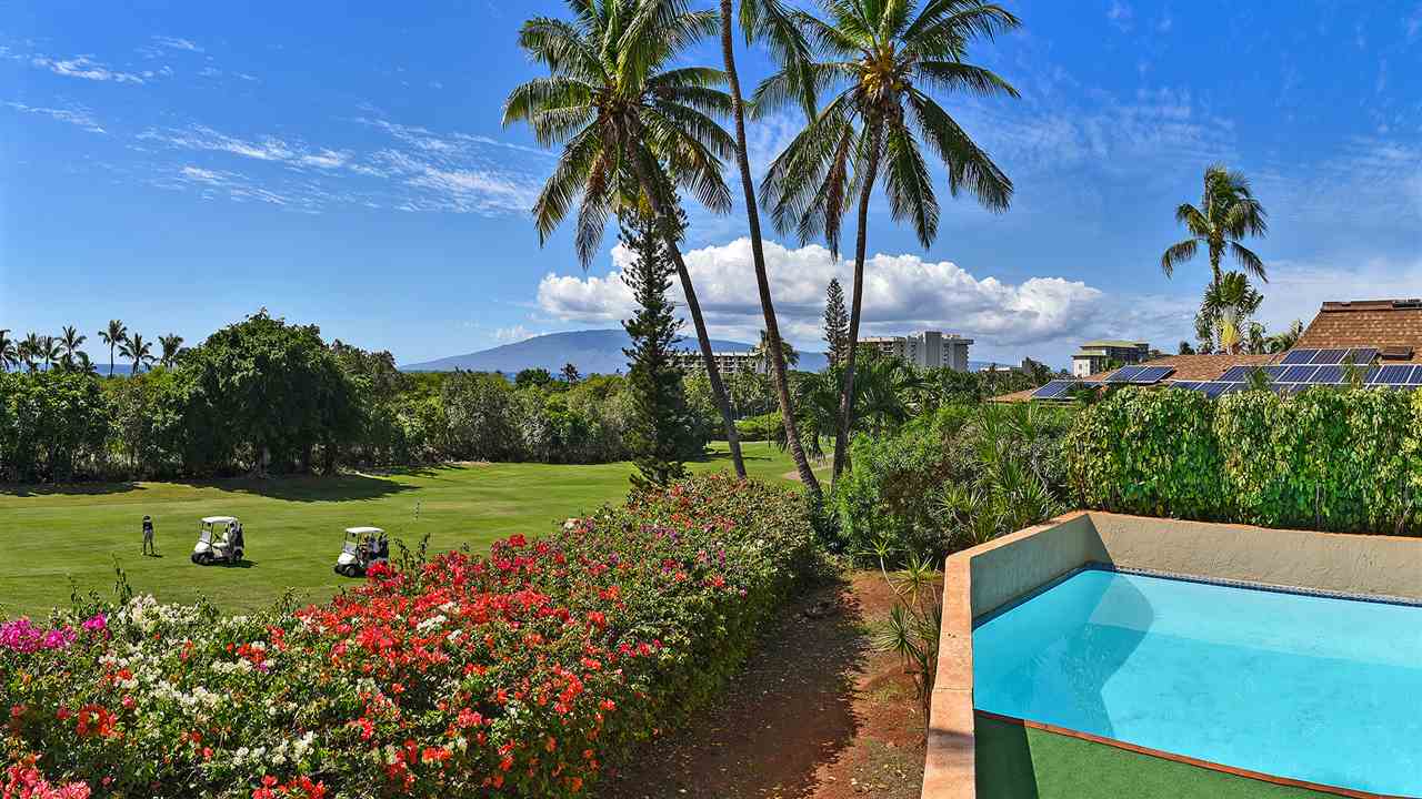 a view of a garden with a flower garden