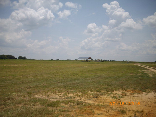 1506 Strickland Road Headland, AL 36345 - Photo 1 of 1