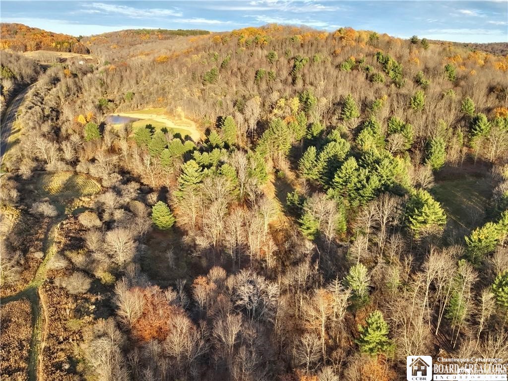 8 Co Road Friendship, NY 14739 - Photo 11 of 25