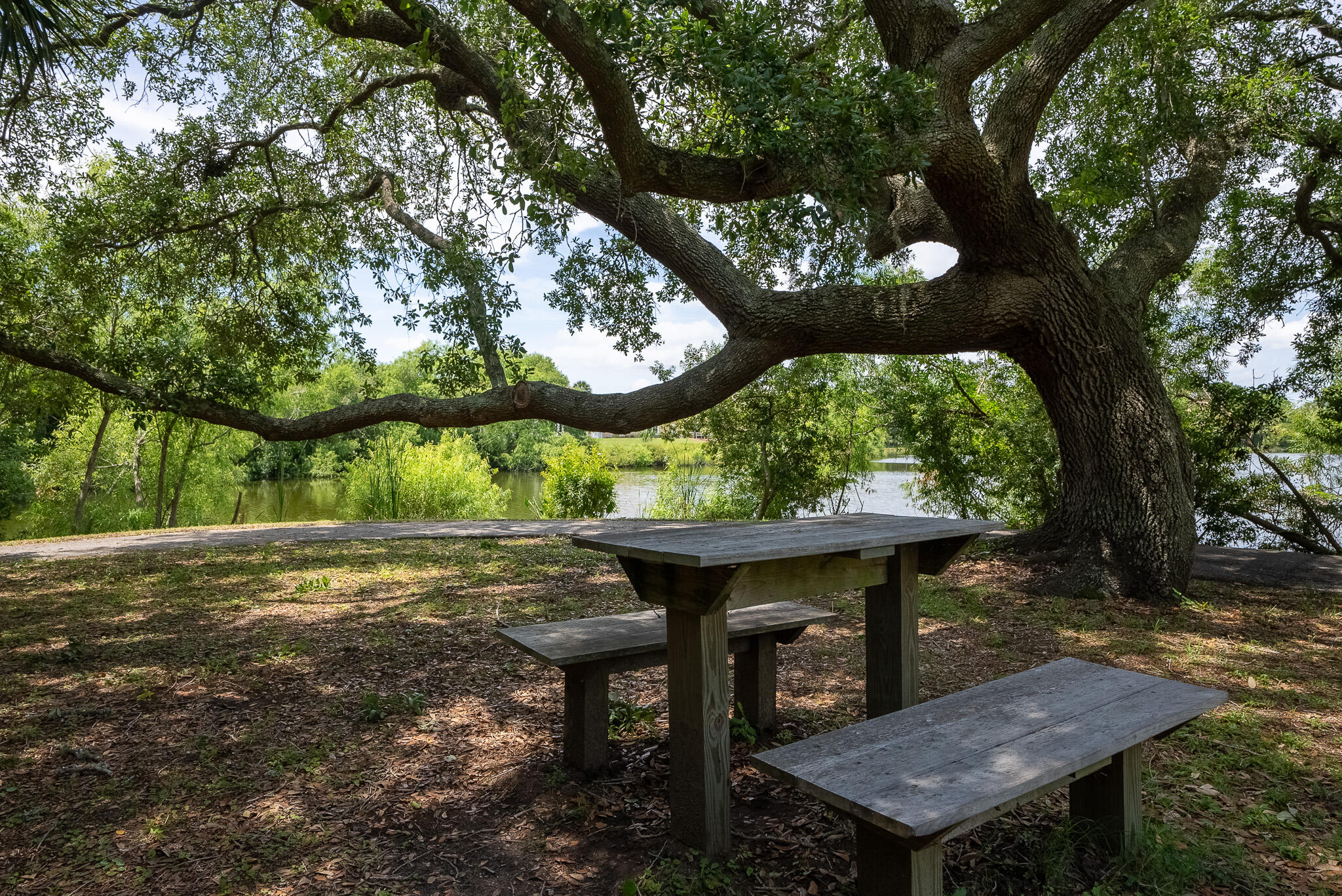 2581 High Hammock Road Seabrook Island, SC 29455 - Photo 50 of 50 Seabrook Picnic Area
