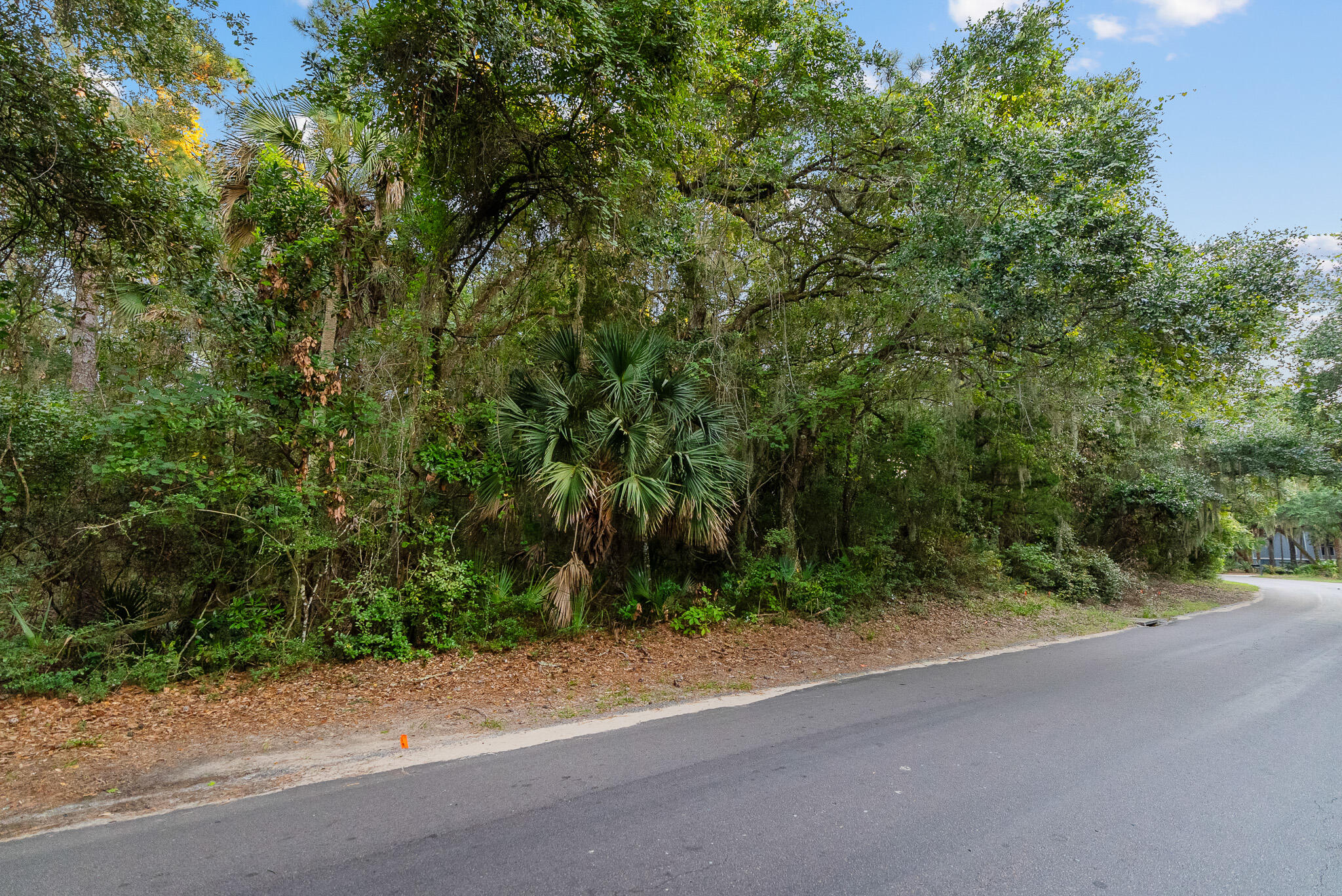 2581 High Hammock Road Seabrook Island, SC 29455 - Photo 6 of 50 2581 High Hammock_4