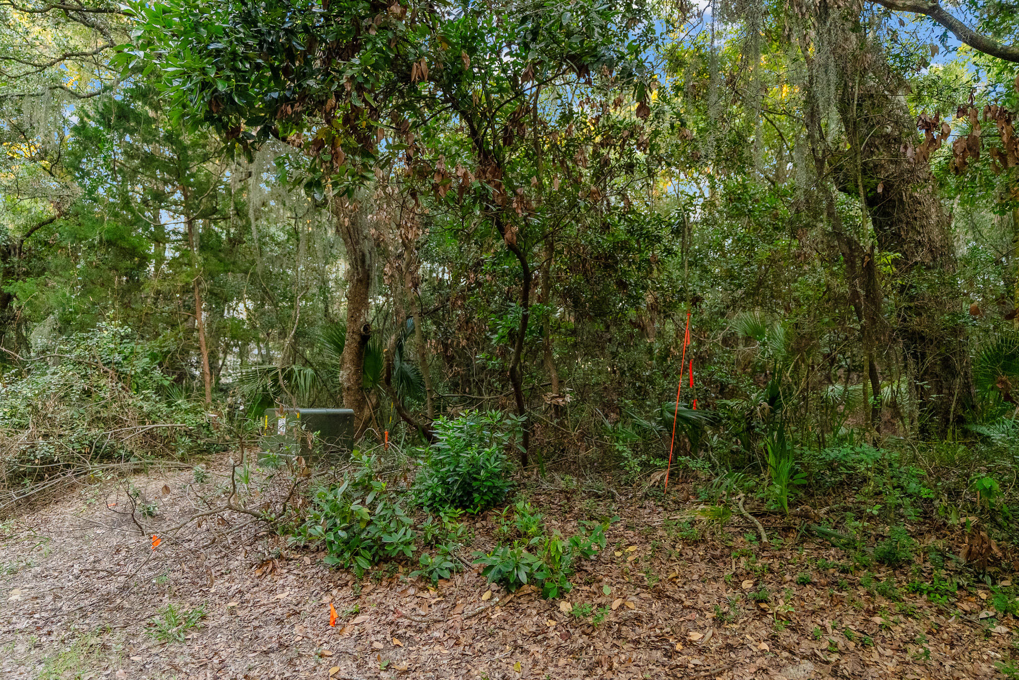 2581 High Hammock Road Seabrook Island, SC 29455 - Photo 7 of 50 2581 High Hammock_2