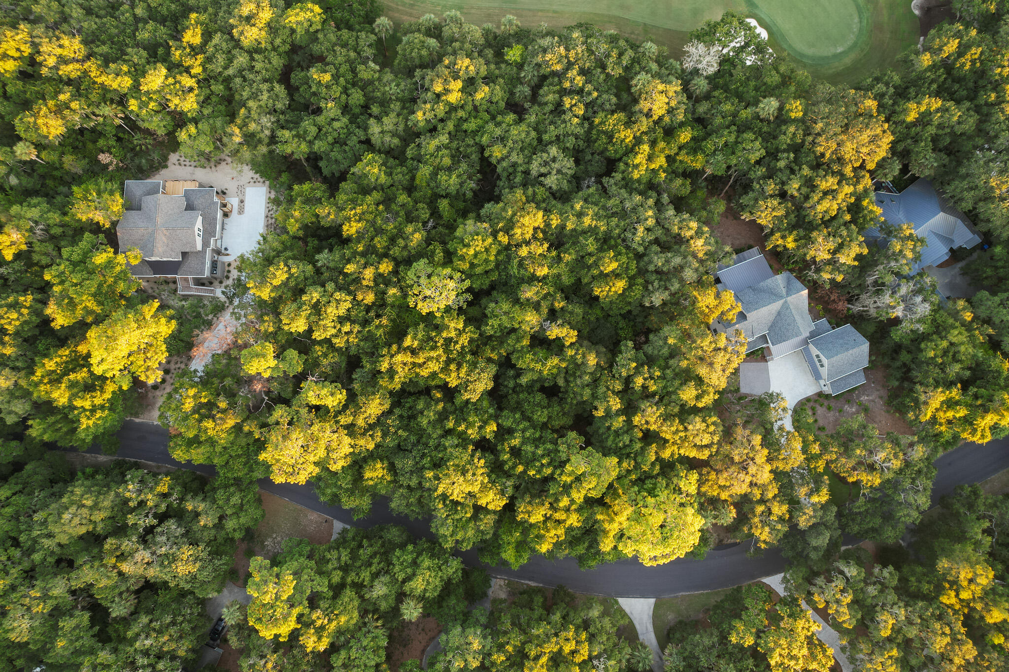 2581 High Hammock Road Seabrook Island, SC 29455 - Photo 8 of 50 2581 High Hammock_3