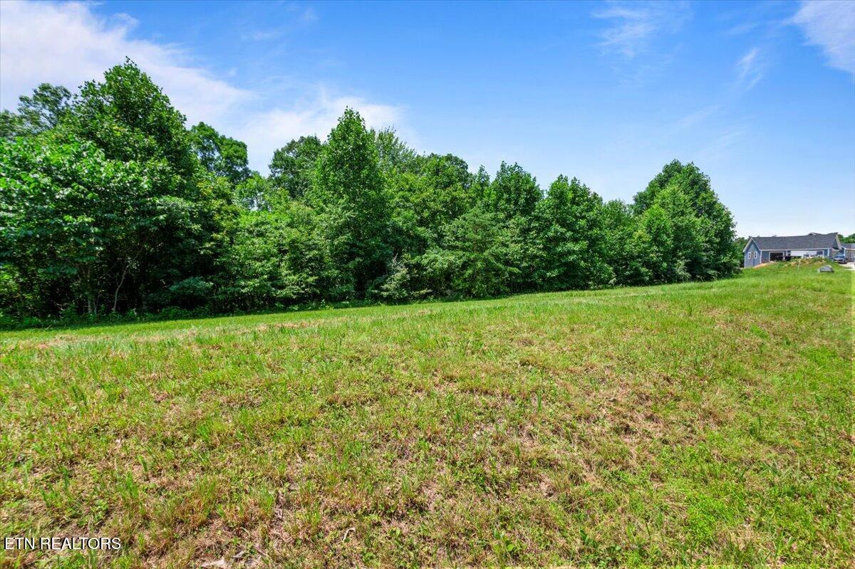 565 South Two Rivers Lane La Follette, TN 37766 - Photo 11 of 17 Buildable-Residential-Lot-LaFollette-TN