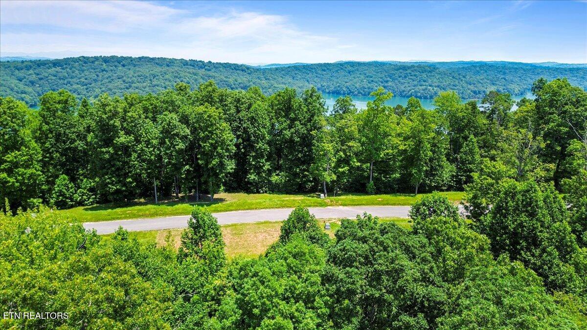 565 South Two Rivers Lane La Follette, TN 37766 - Photo 13 of 17 Lot-565-Paved-Road-View-LaFollette