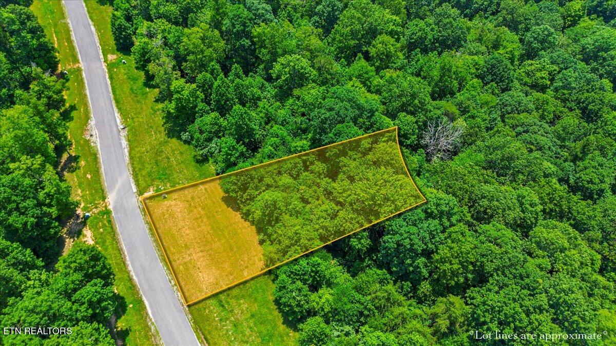 565 South Two Rivers Lane La Follette, TN 37766 - Photo 15 of 17 Tree-Lined-Lake-Community-Lot-Clearwater