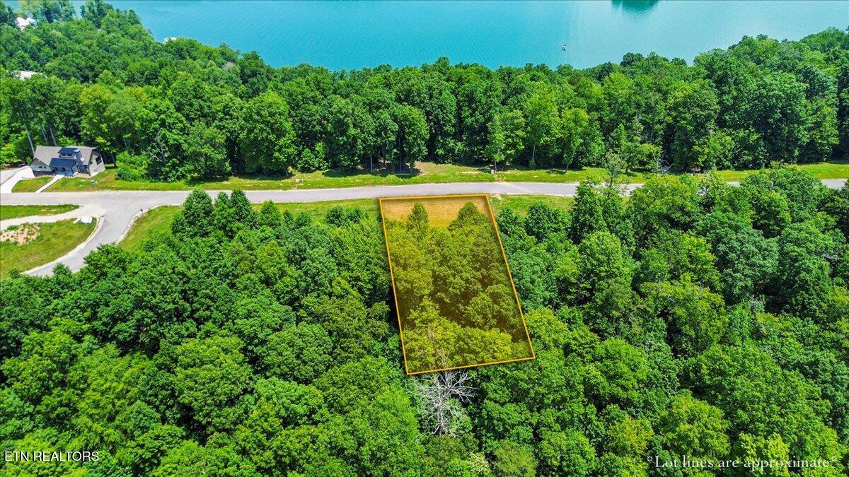 565 South Two Rivers Lane La Follette, TN 37766 - Photo 2 of 17 Lakeview-Build-Site--Clearwater-Cove