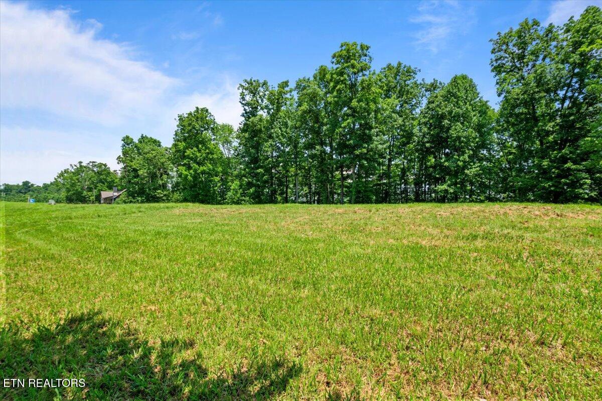 565 South Two Rivers Lane La Follette, TN 37766 - Photo 5 of 17 Wooded-Lo-Utility-Access-LaFollette-TN