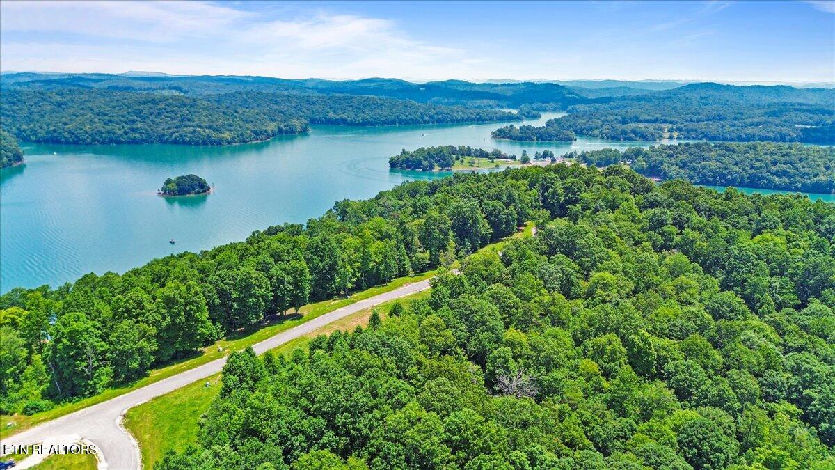 565 South Two Rivers Lane La Follette, TN 37766 - Photo 6 of 17 Cove-Paved-Streets-LaFollette-Lot