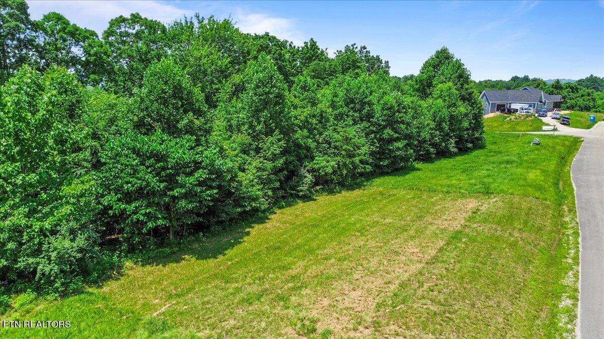 565 South Two Rivers Lane La Follette, TN 37766 - Photo 8 of 17 Wooded-Lot-With-Access-LaFollette-TN