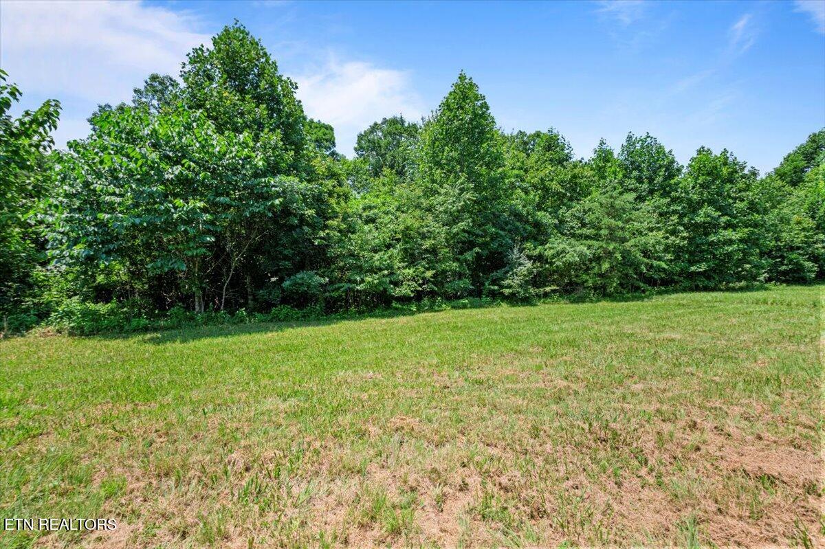 565 South Two Rivers Lane La Follette, TN 37766 - Photo 9 of 17 Lot-565-Build-Ready-Norris-Lake-TN