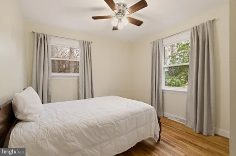 a view of a backyard with large trees