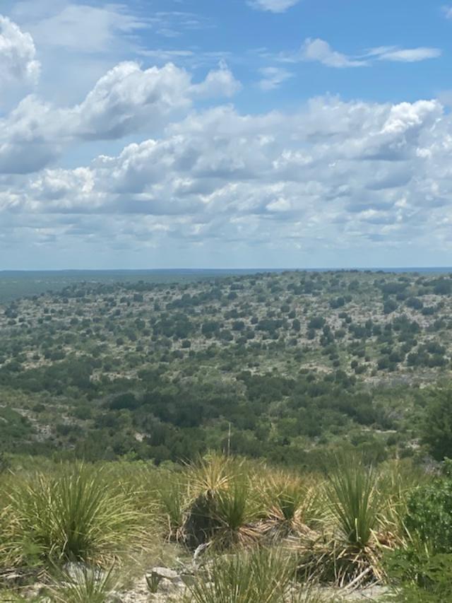0 Fm 2523 Del Rio, TX 78840 - Photo 9 of 28