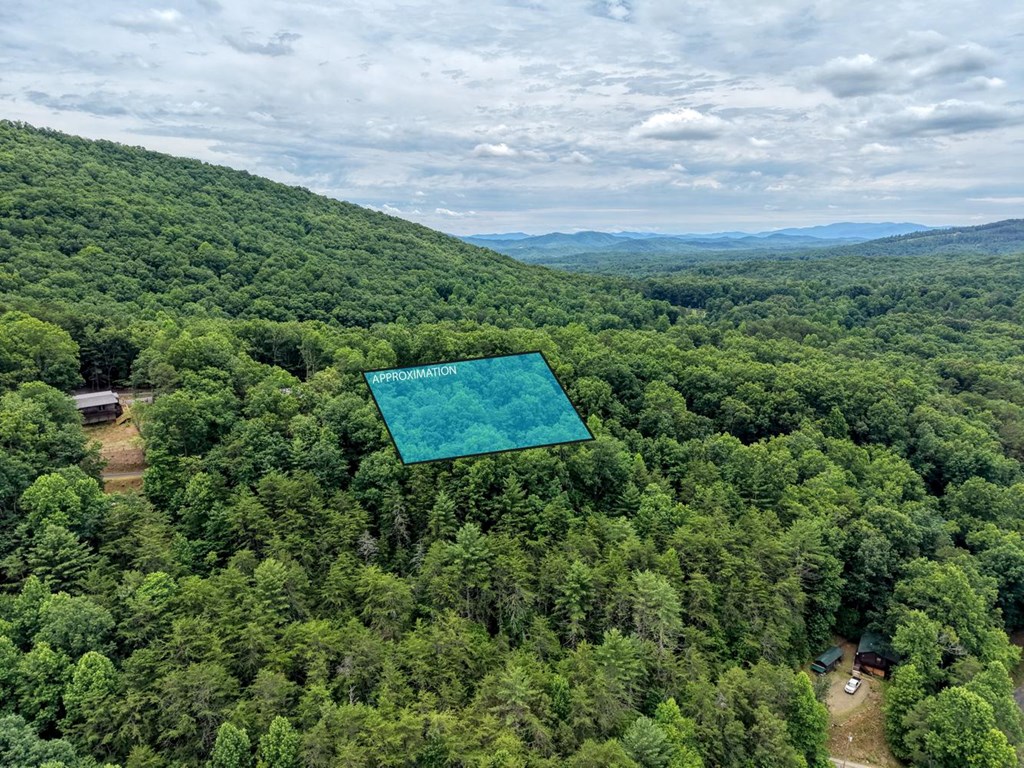 664 High Ridge Road Murphy, NC 28906 - Photo 42 of 42