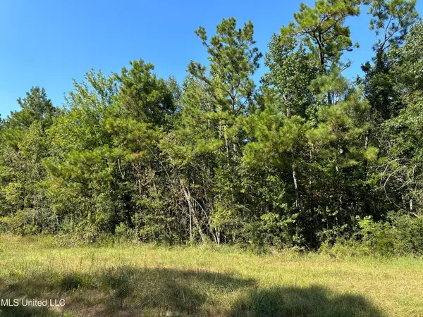 $250,000 | 92.4-acres Crossroads-Merrill Road, Lucedale, MS 39452