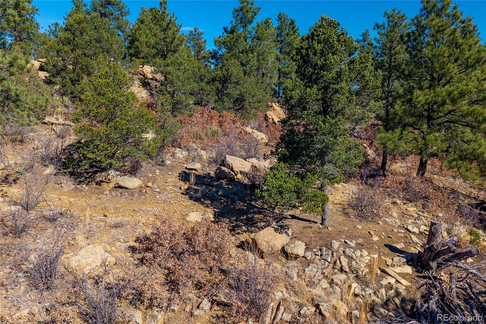 13240 Big Pine Ridge Road Weston, CO 81091 - Photo 44 of 49 Gallery Image 44