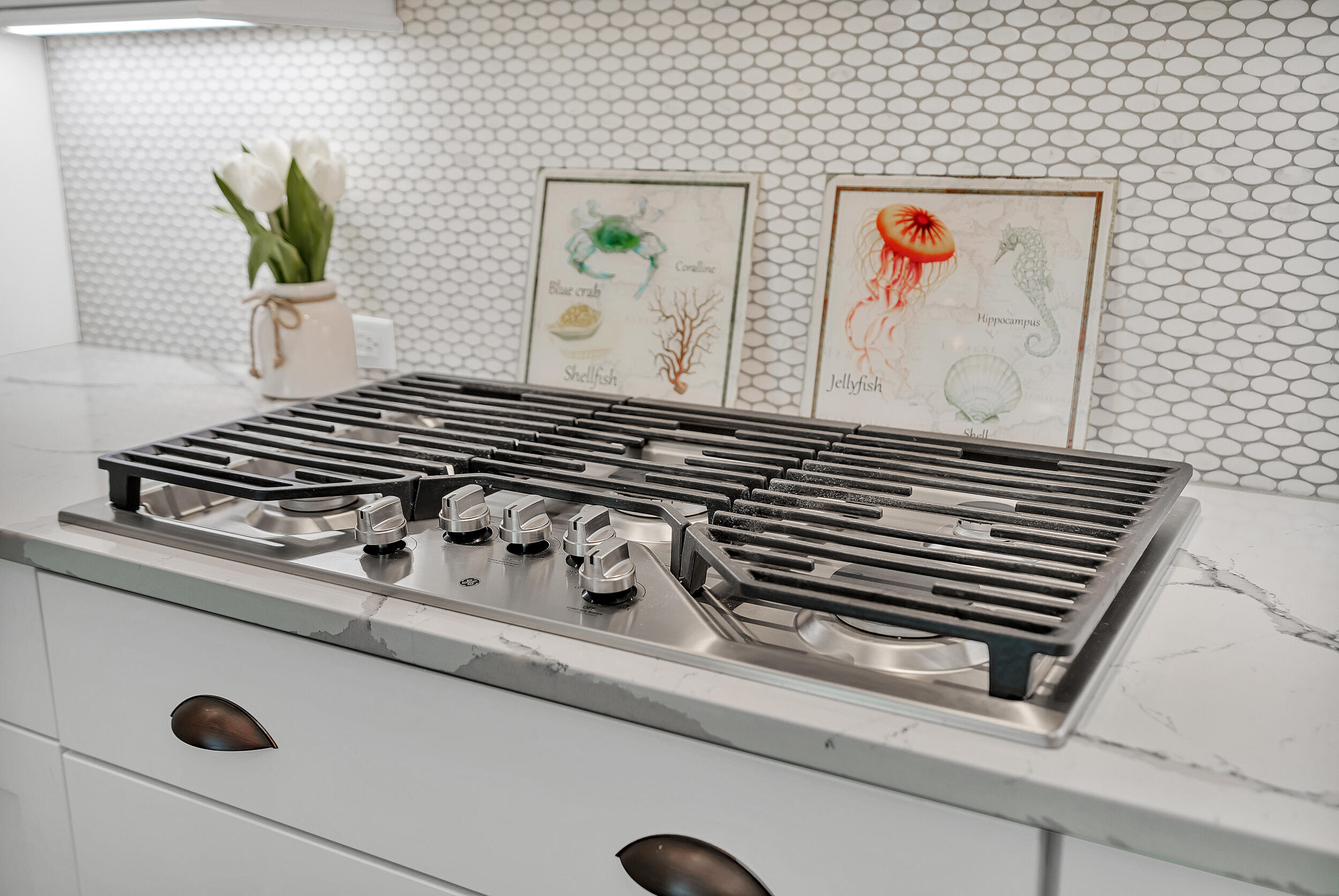 339 Ridgewalk Circle Santa Rosa Beach, FL 32459 - Photo 20 of 57 a close view of stove