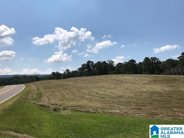 171 Tumlin Gap Road Gallant, AL 35972 - Photo 4 of 29 Gallery Image 4