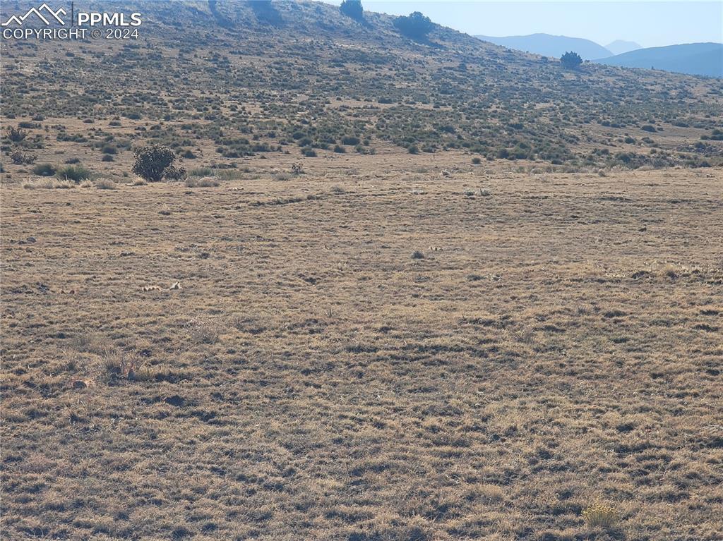 650 County Road Rye, CO 81069 - Photo 19 of 32 a view of a dry yard