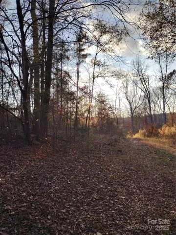 a view of yard with trees