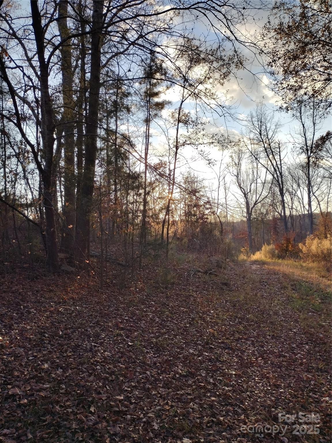 2211 Bottom Drive Chester, SC 29706 - Photo 1 of 5 a view of yard with trees