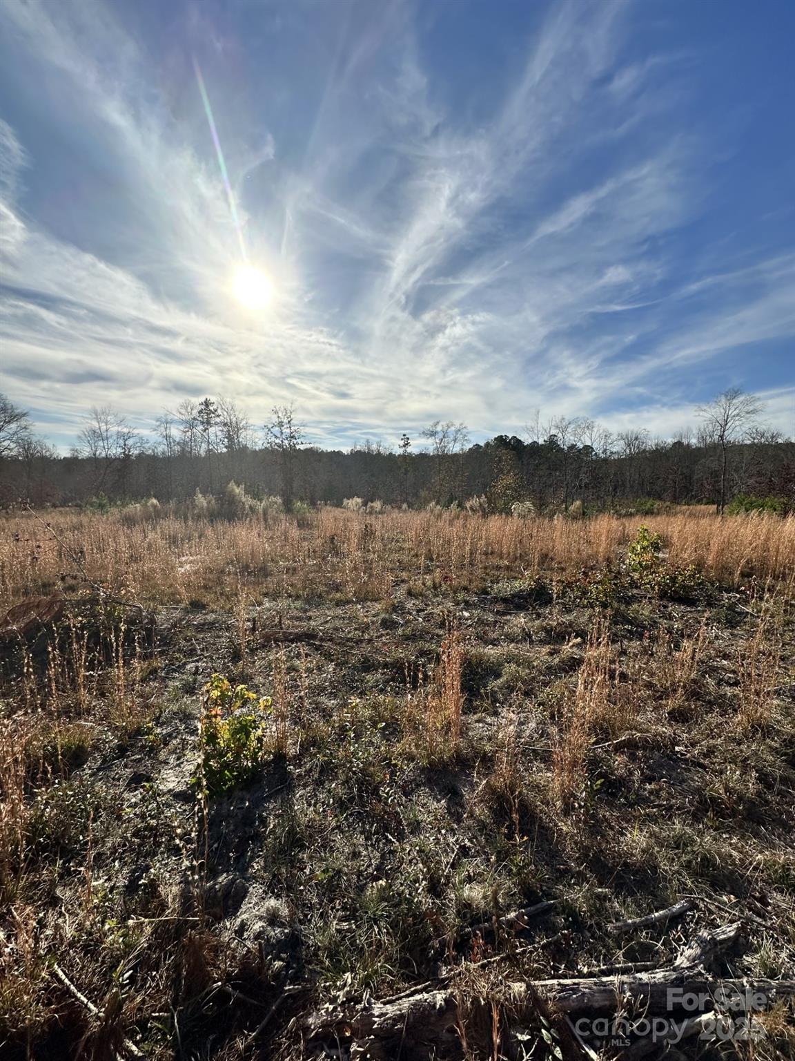 2211 Bottom Drive Chester, SC 29706 - Photo 2 of 5 a view of lake and mountain